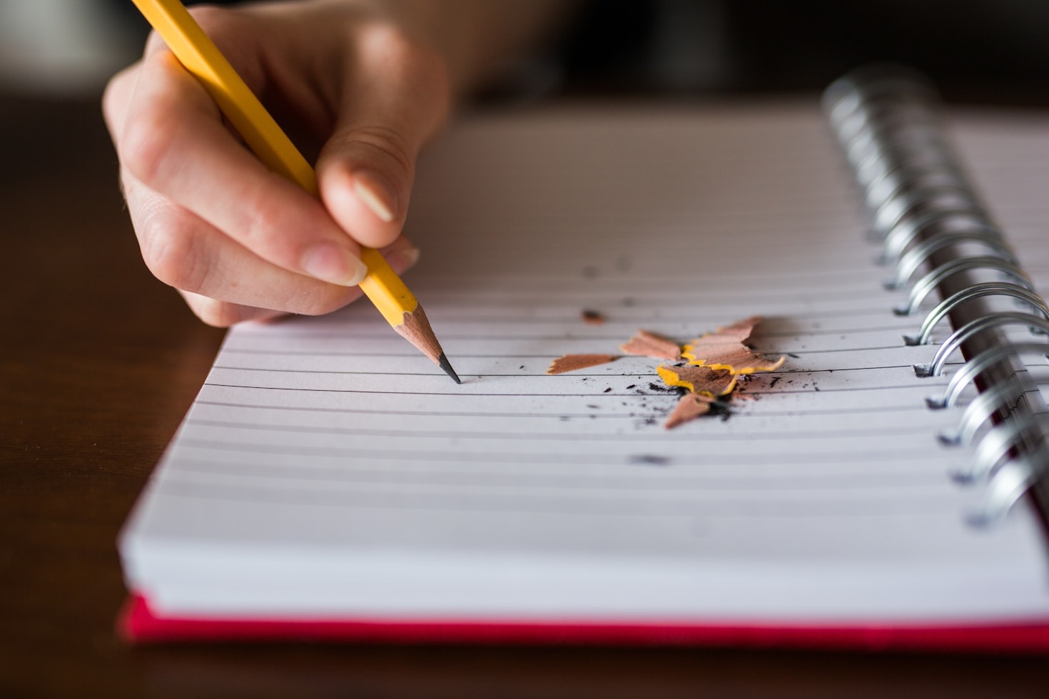 Reflections On Growth And The Passing Time